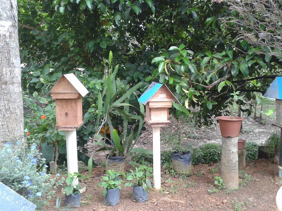 12047190 1176437989037155 8986802743721461044 n