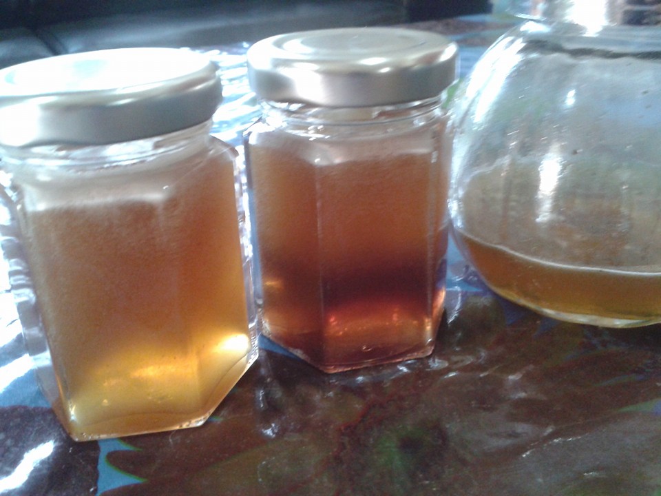 12107978 1185821694765451 323045162041348294 n