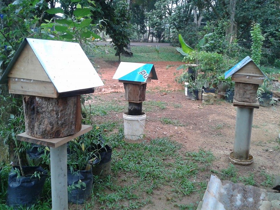 12108794 1176437795703841 1427216306073575952 n