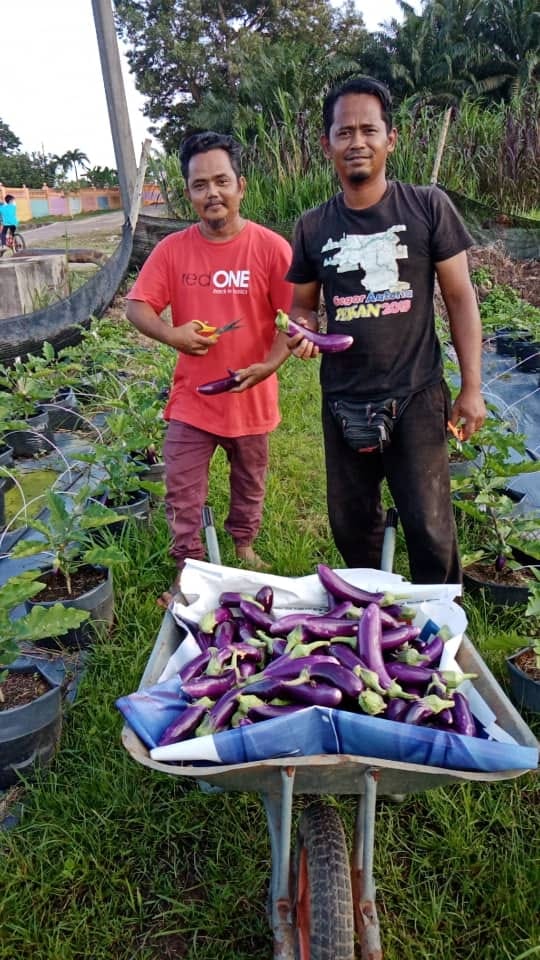 147516274 3663075493786179 1117378753020477502 n